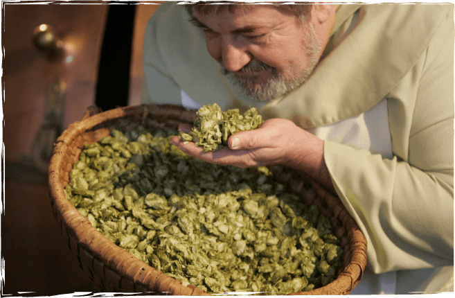 [Translate to Italienisch:] Mönch riecht am Hopfen