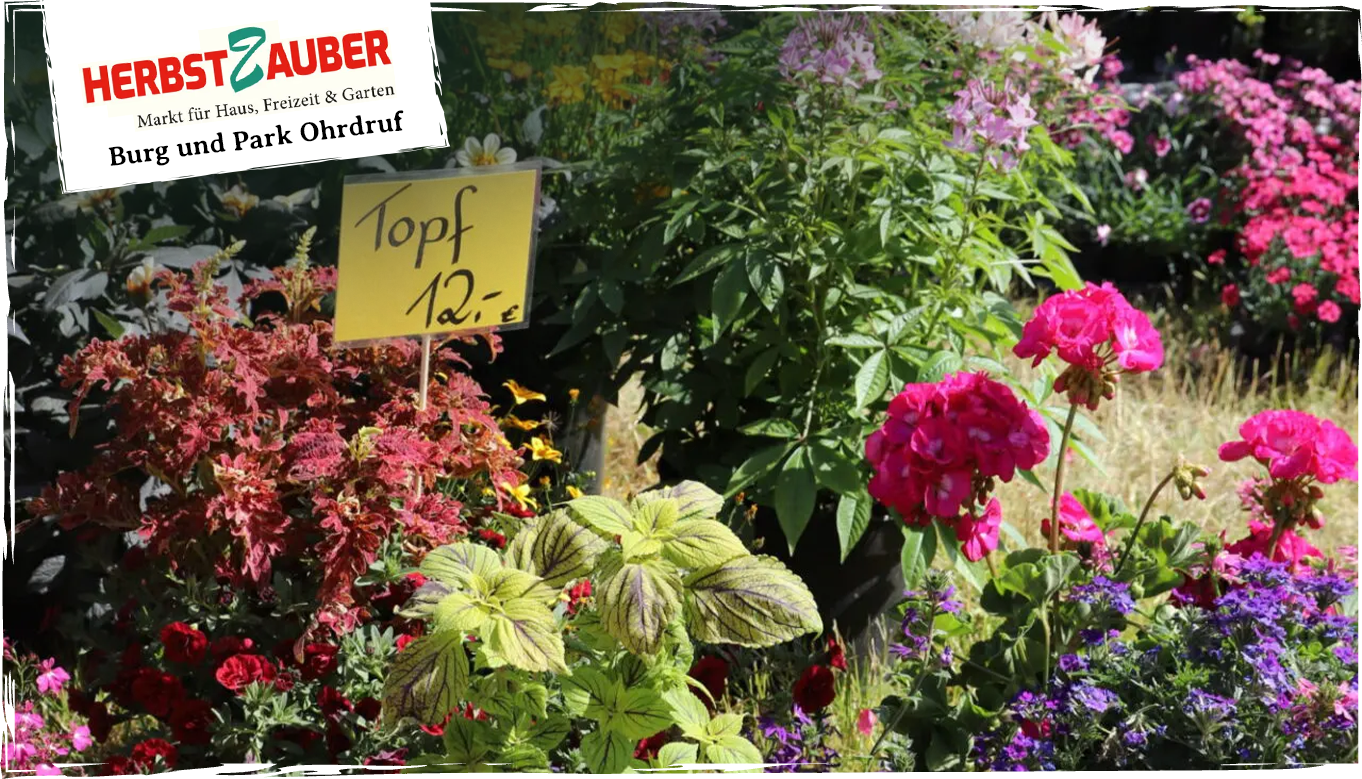 Herbstzauber Burg & Park Ohrdruf 2023
